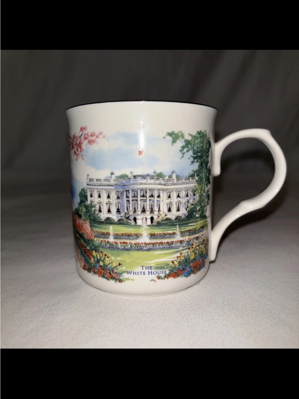 Porcelain Scenic White House Mug - Multicolor